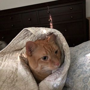 Meet your Posher, Karen